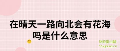 概述在晴天一路向北会有花海吗是什么意思